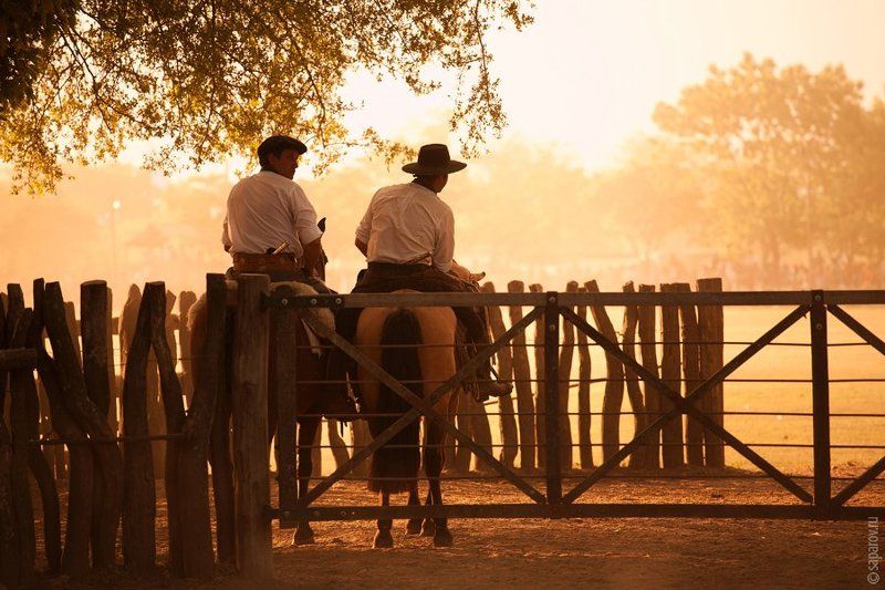 аргентина, гаучо Гаучо фото превью
