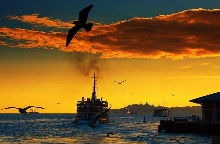 istanbul, mustafa yagci