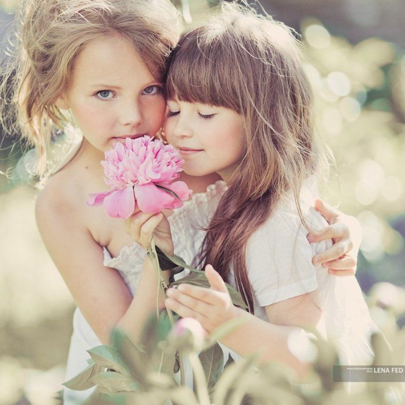 .  фото превью