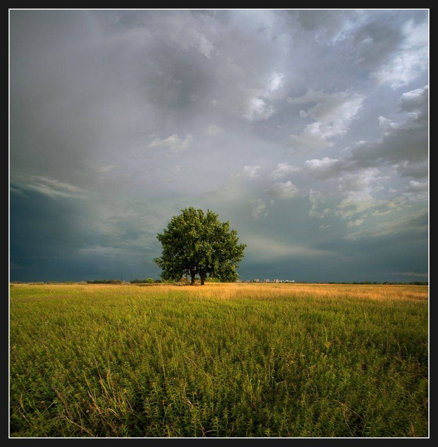 Nikkor 14 f2.8D, Nikon d700, Алексей Соловей