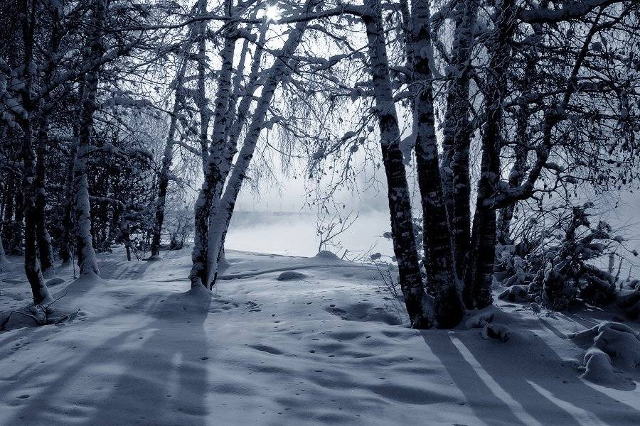 , Николай Морский