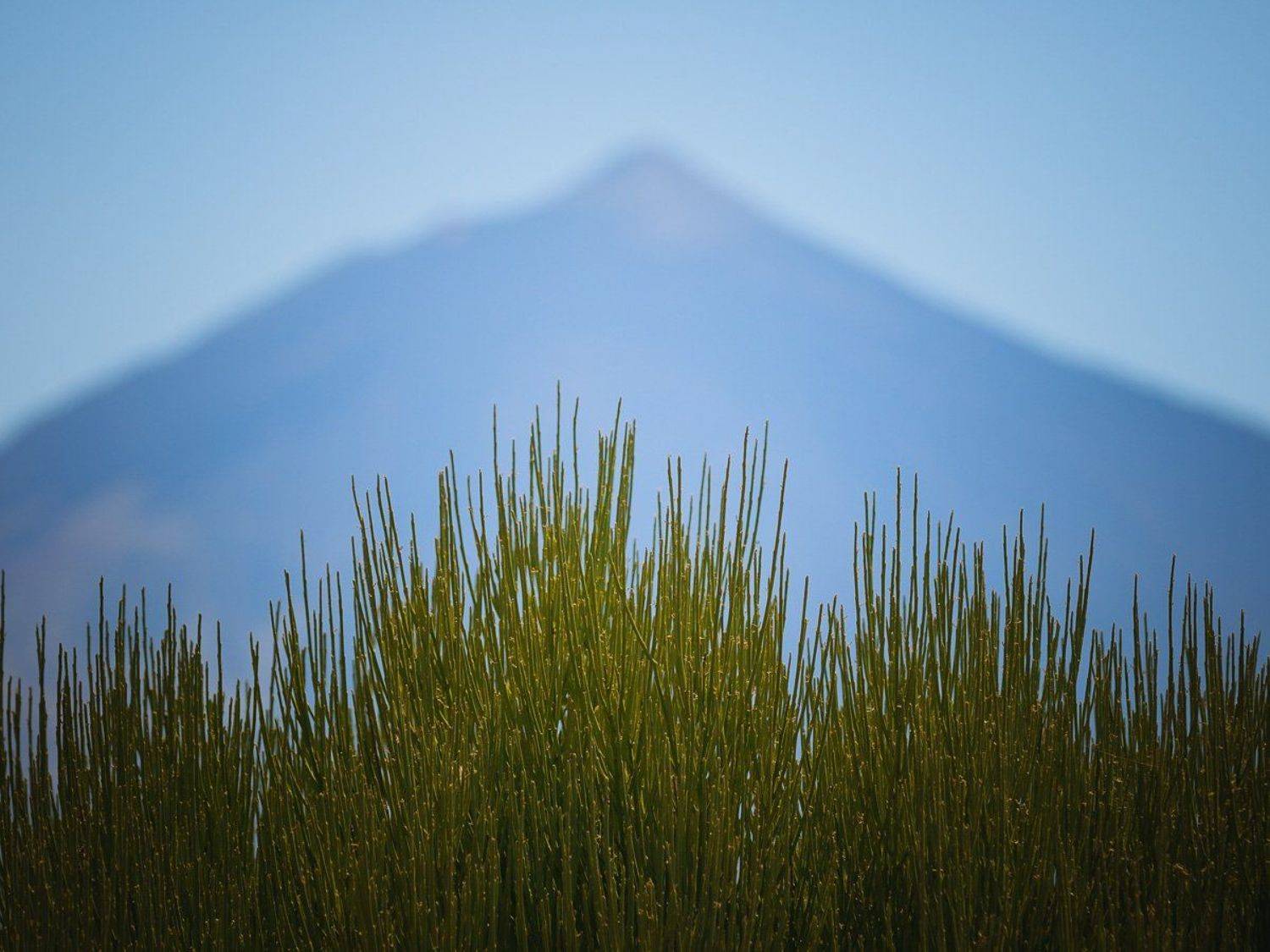 , Александр Константинов