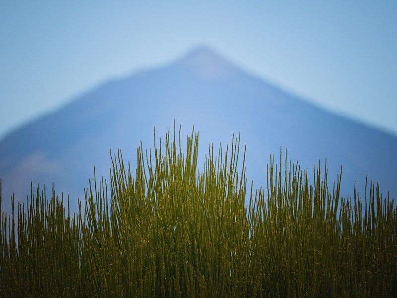 Тейде фото превью