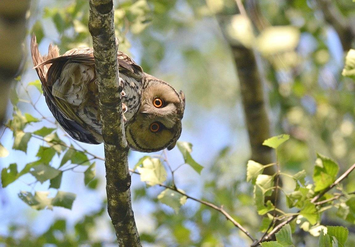 , Александр Юкарев