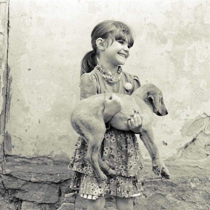 Двор. фото превью