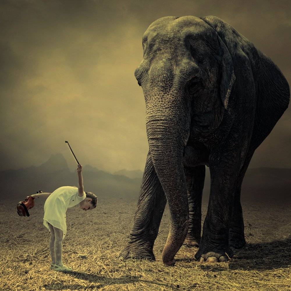 field, sky, red, girl, tree, violin, walking, ground, elephant, mounting, singing, Caras Ionut