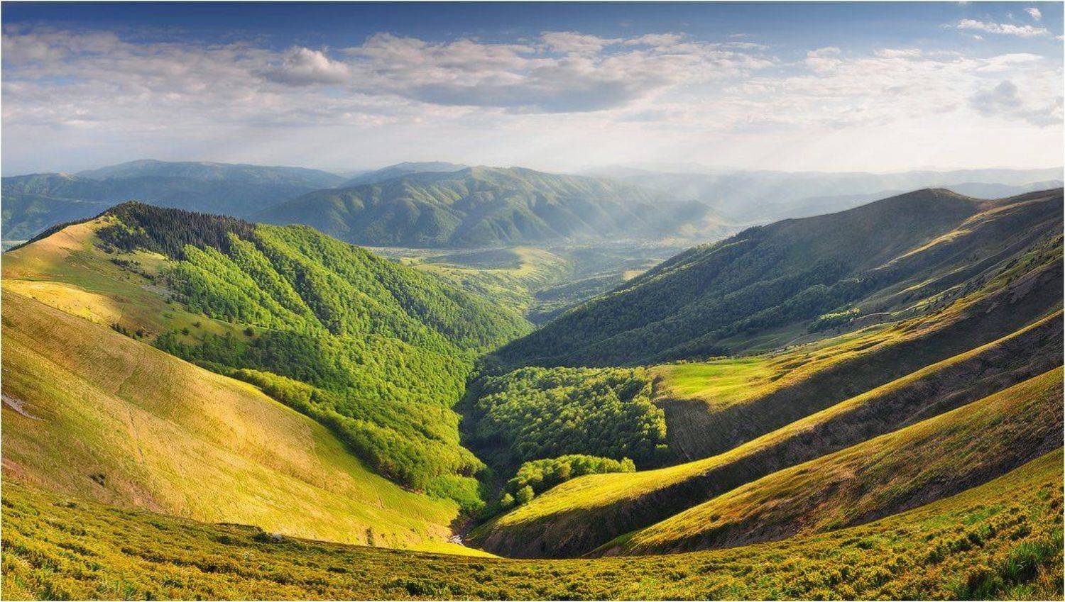 , Денис Кривой