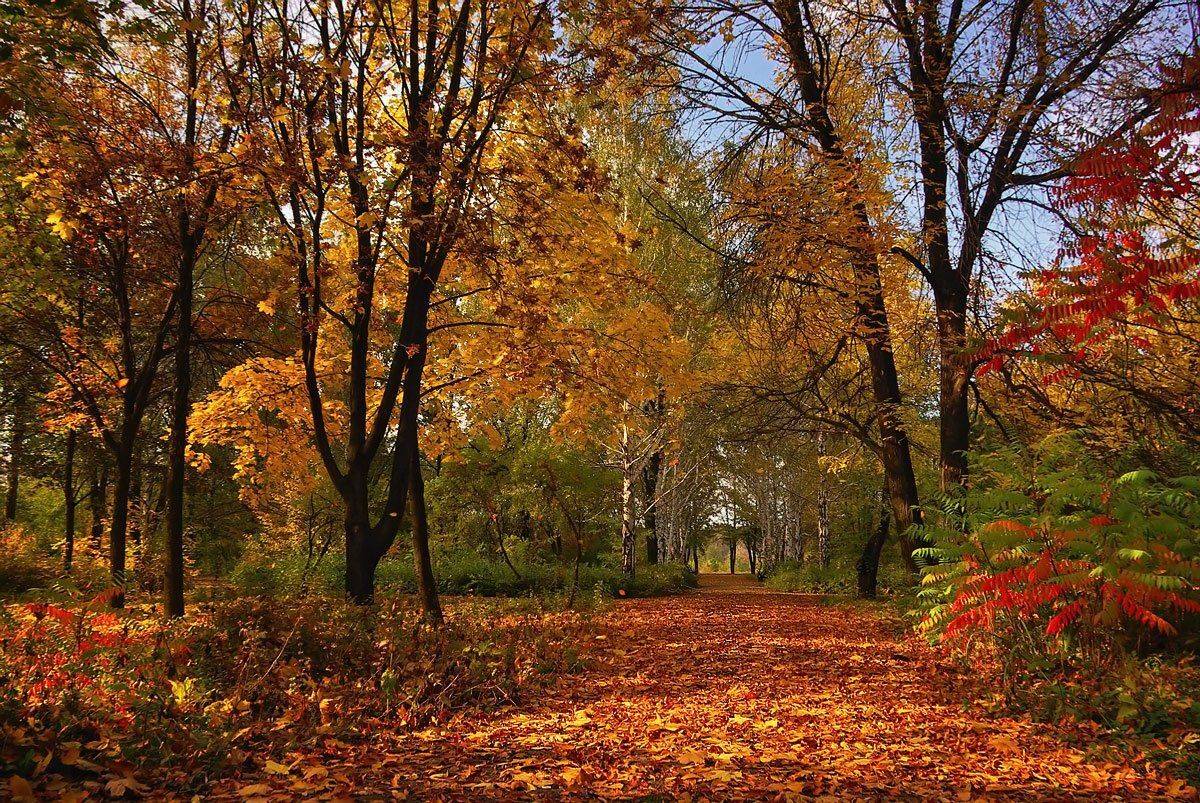 , Игорь Мелекесцев