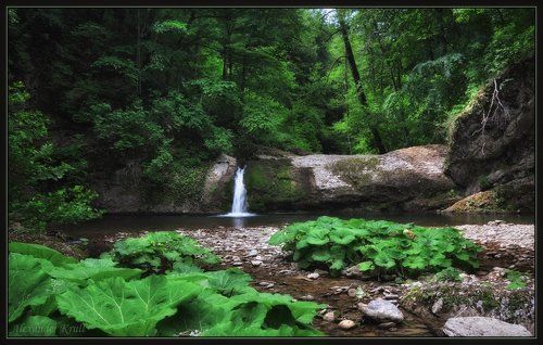 О чём шептались лопухи под шум лесного водопада...