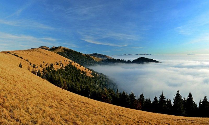 Пейзажі Карпат фото превью