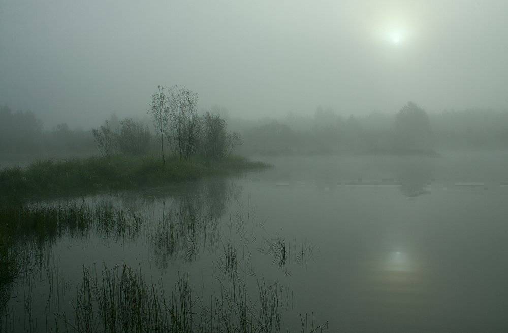 , Николай Морский