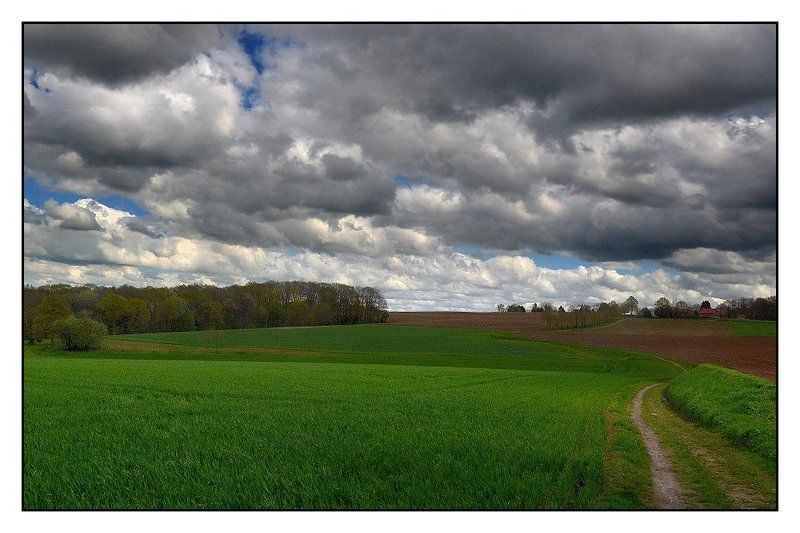 My region. фото превью