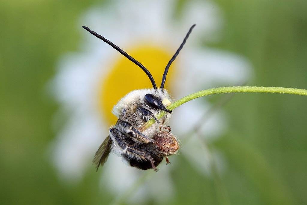 , Сергей Таланов