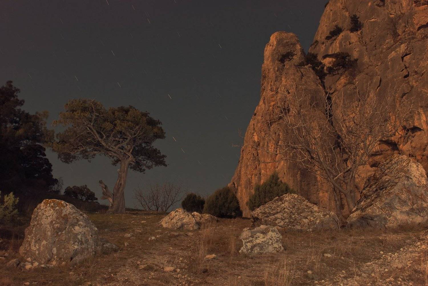 можевельник,скалы,ночь,звёзды,, Новосёлов Владимир
