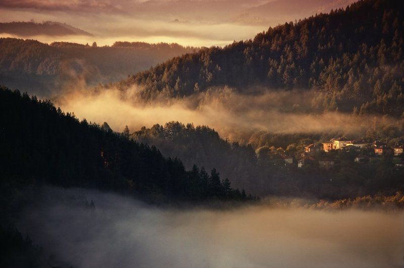 ~~~ фото превью