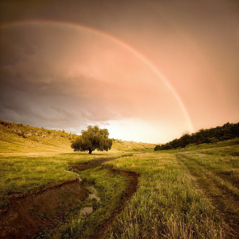 20:31 радуга фото превью