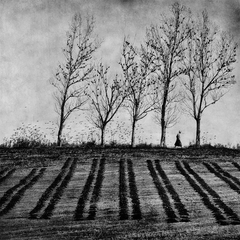 Autumn symphony фото превью