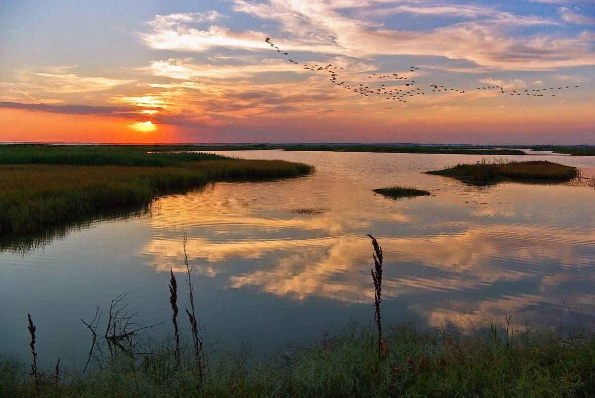 , Игорь Мелекесцев