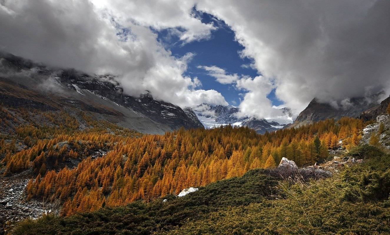 swiss,zermatt, Матвеев Николай
