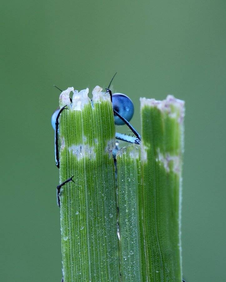, Сергей Таланов