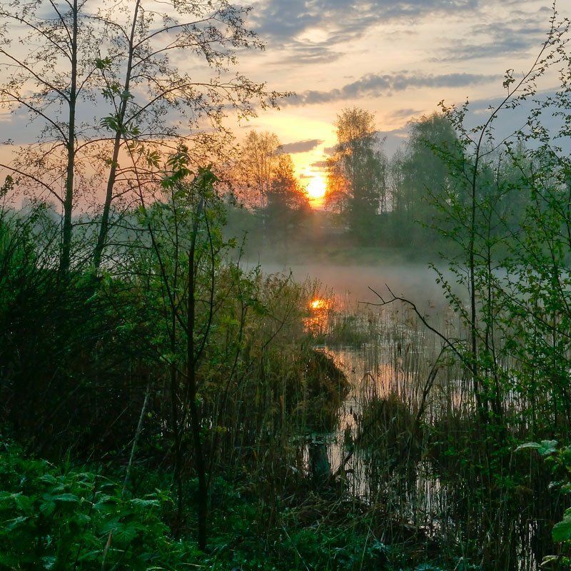 рассвет майское утро фото превью