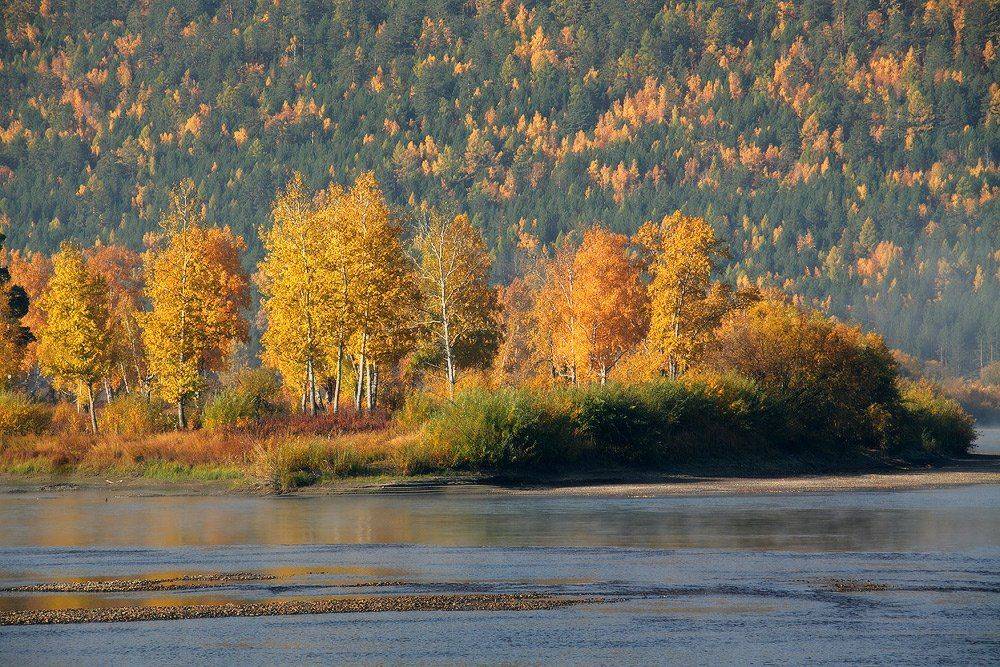, Николай Морский