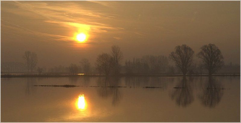 This morning. фото превью