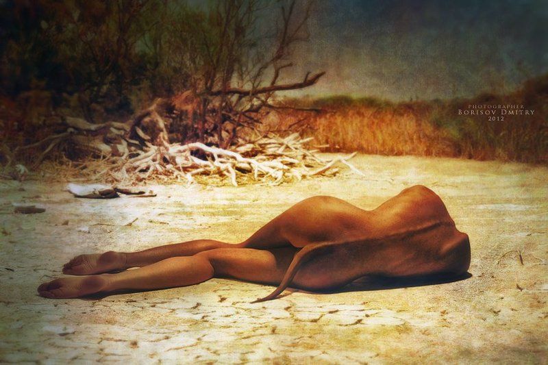 Dreams of Gynura фото превью