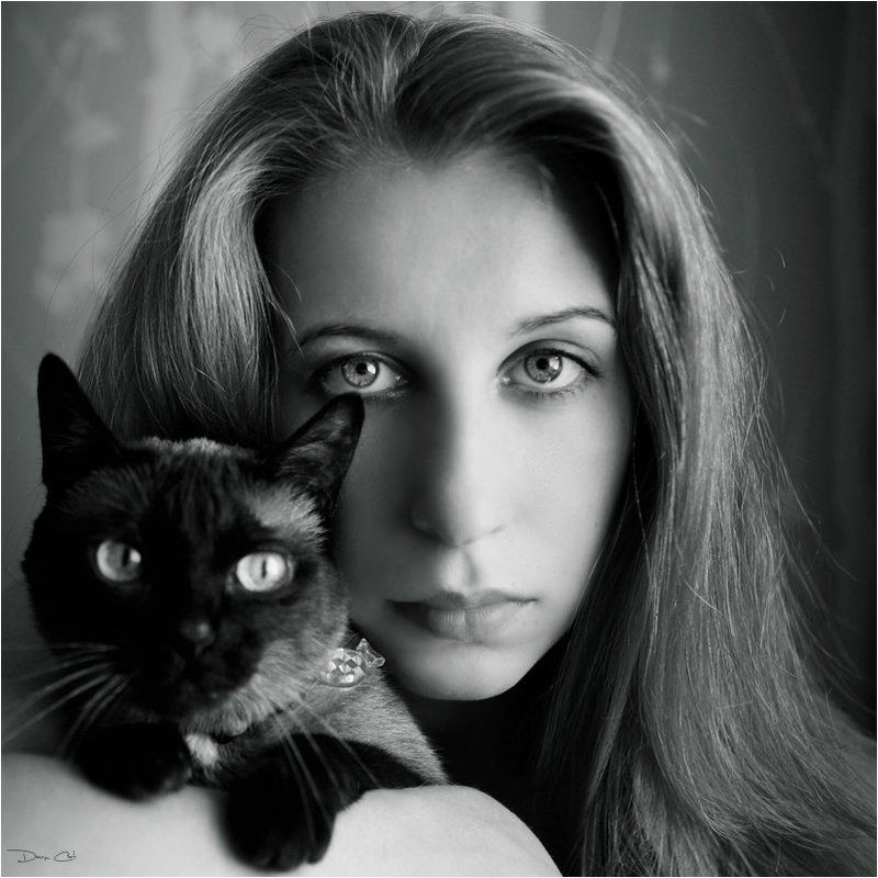 автопортерт, кошка, девушка, глаза Автопортрет фото превью