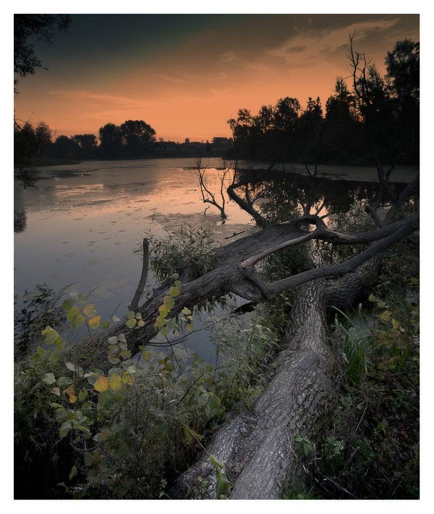 , Владимир K.