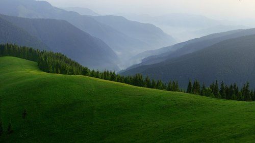 Гуцульское утро.