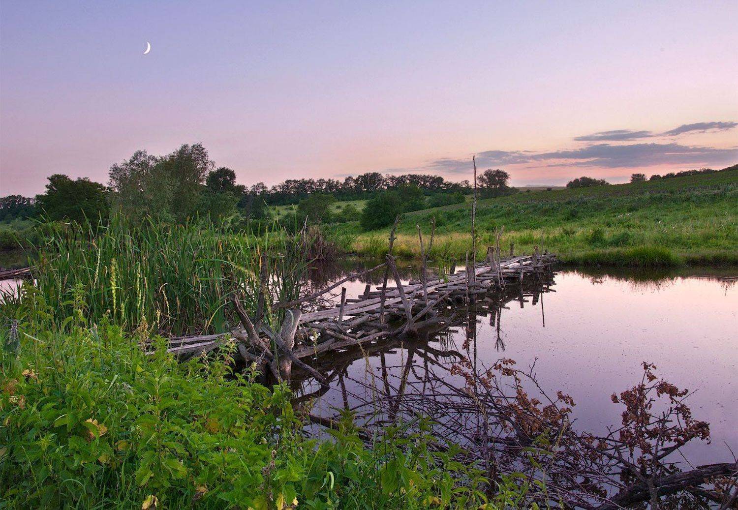 , Андрей Кобыща