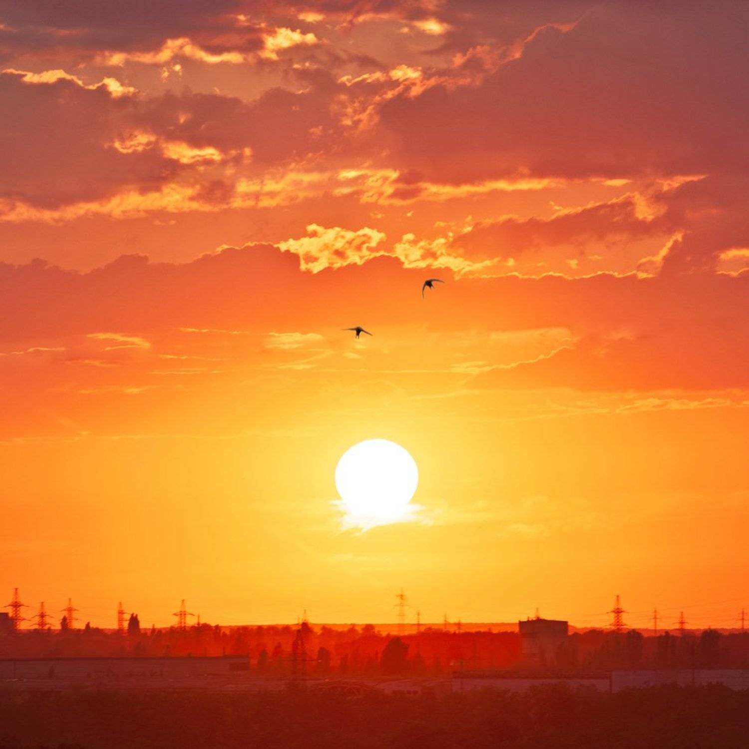 , Фомиченко Иван