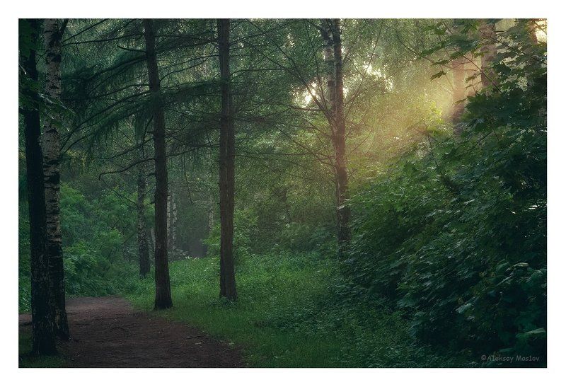 после дождя фото превью