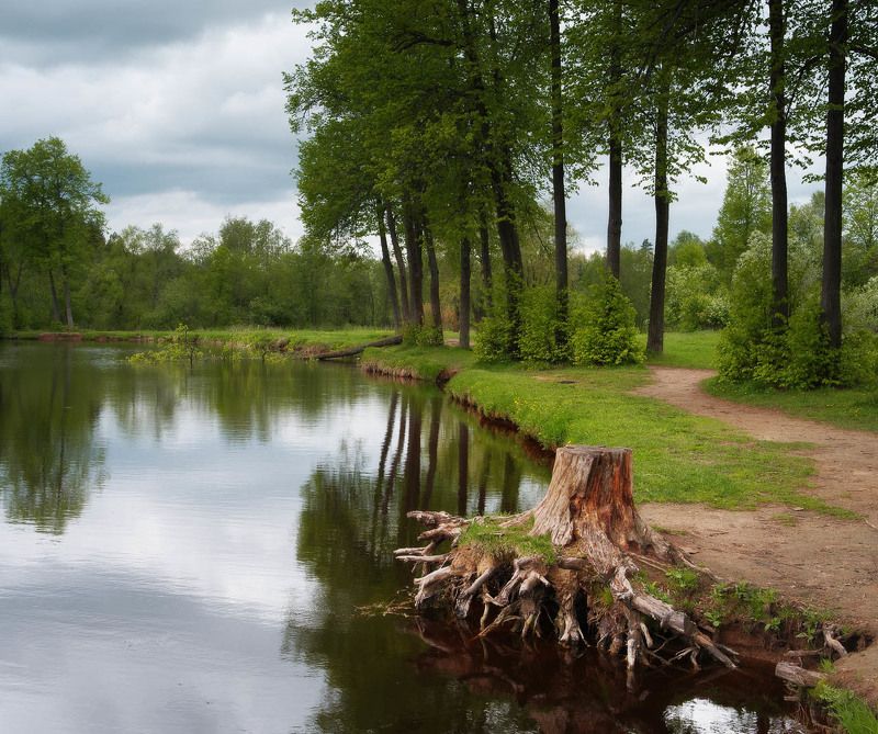 Мцыри фото превью