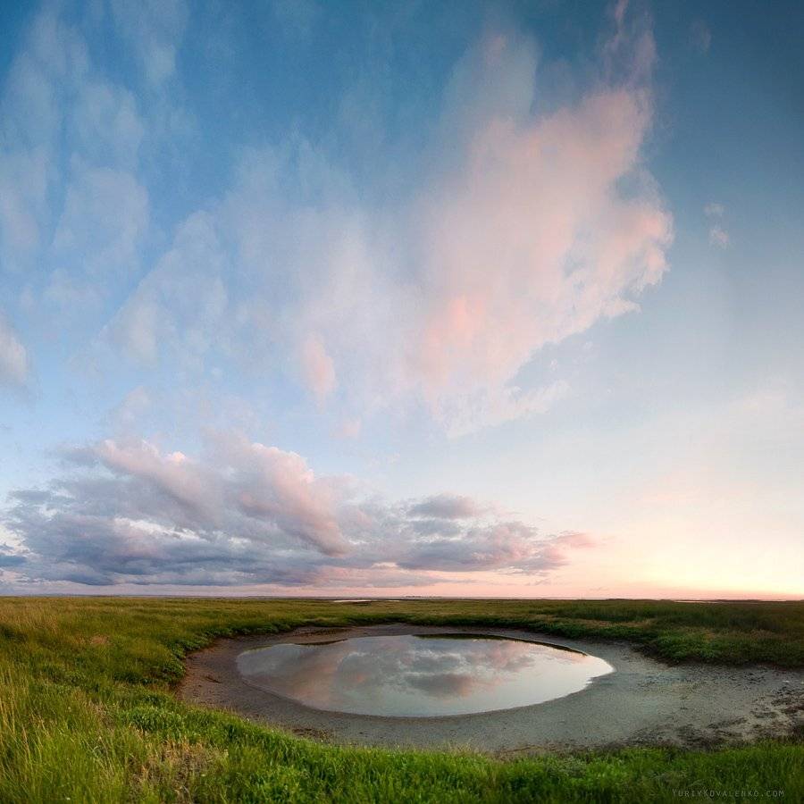 , Юрий Коваленко