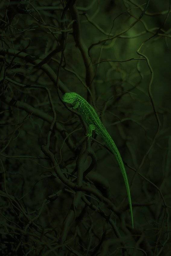 , Михаил  Пилипенко