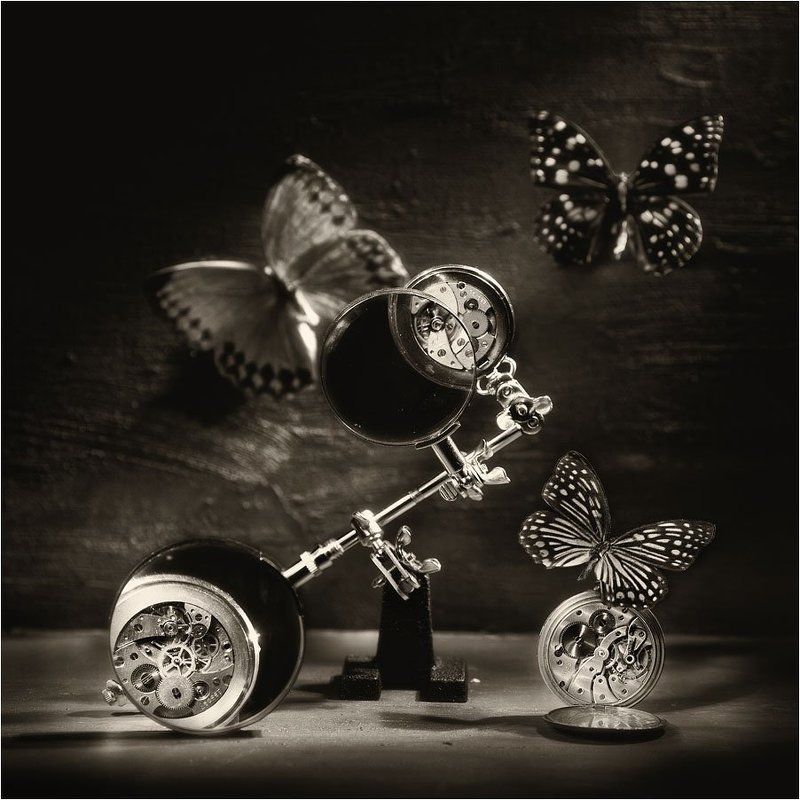 Среди бабочек и механизмов фото превью