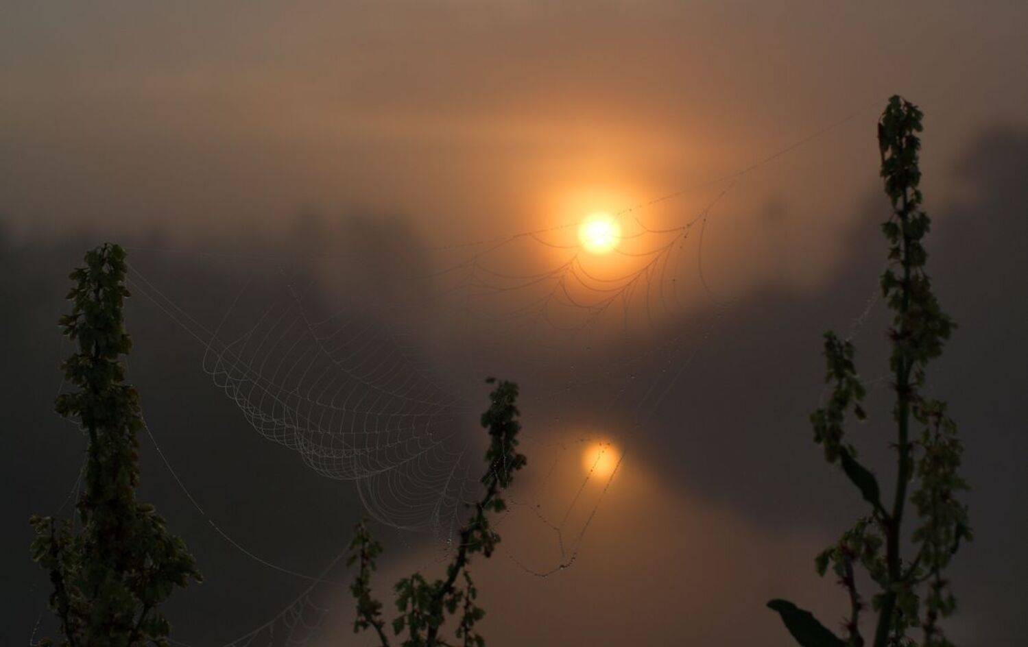 , Володимир Карчевський