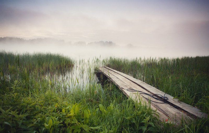 весна, утро, озеро, браслав, туман ...Про утро и туман... фото превью