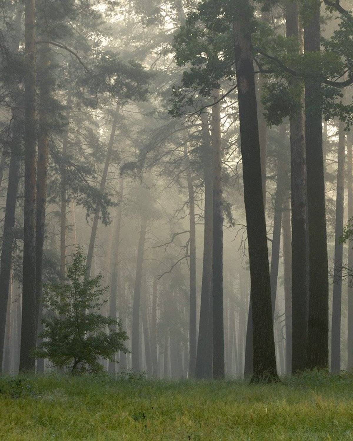 , Александр