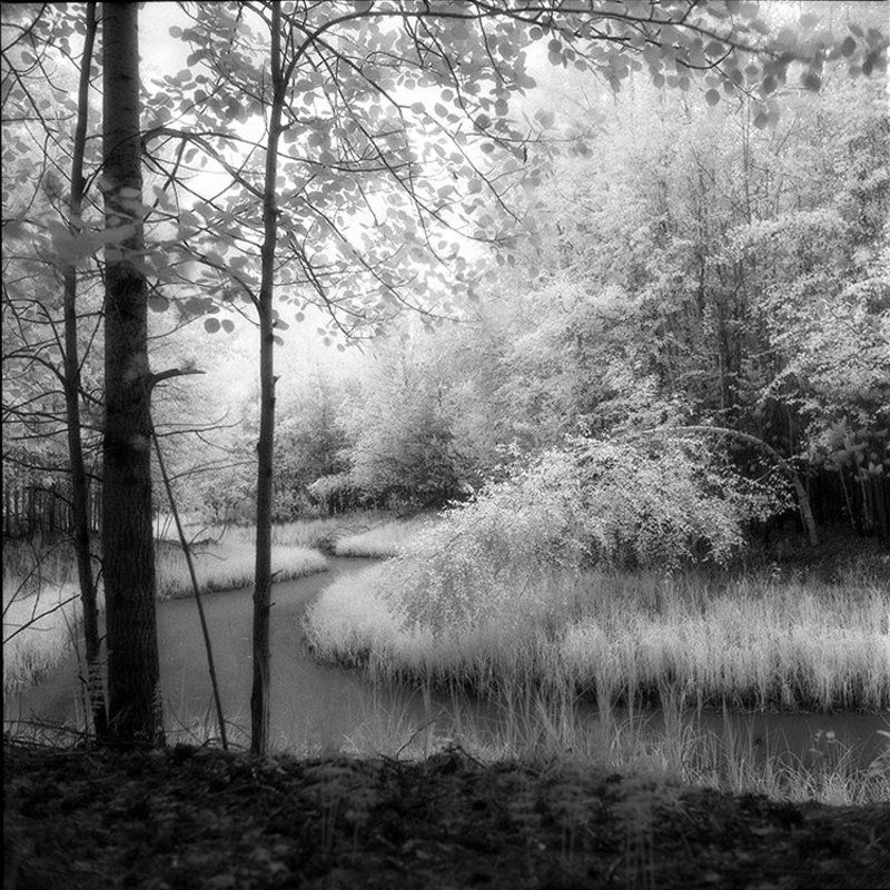 пейзажИК фото превью