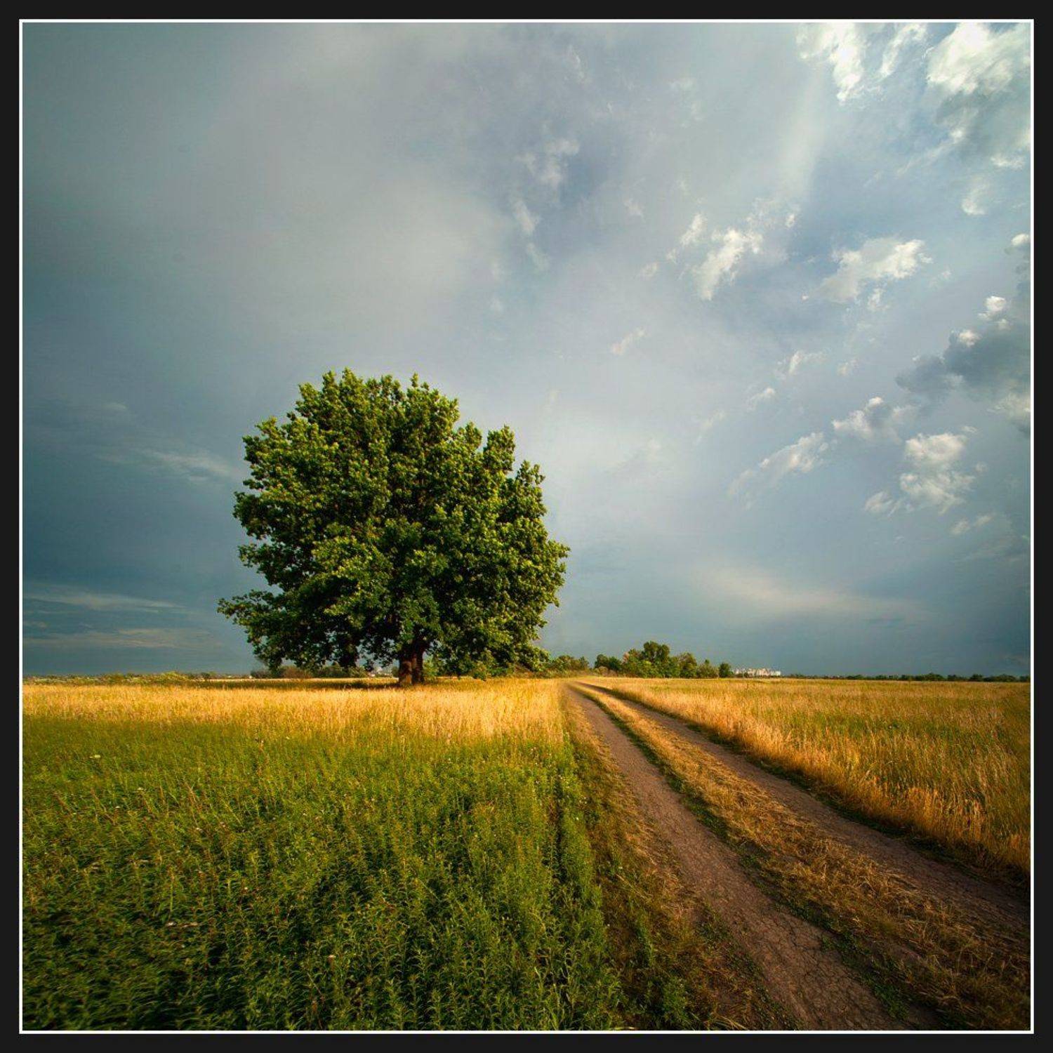 , Алексей Соловей