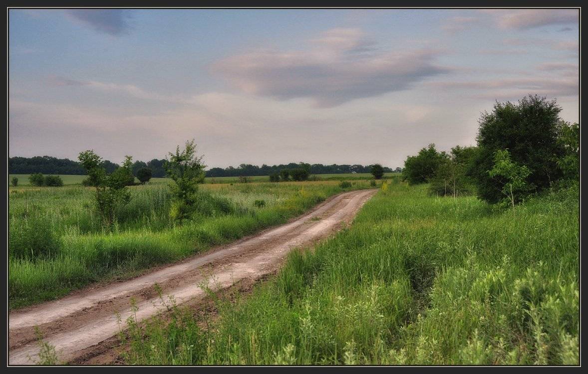 вечер, лето, поле, Александр Круль