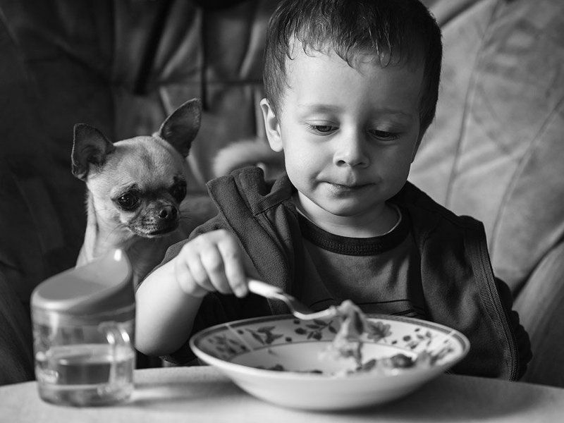 Завтрак фото превью