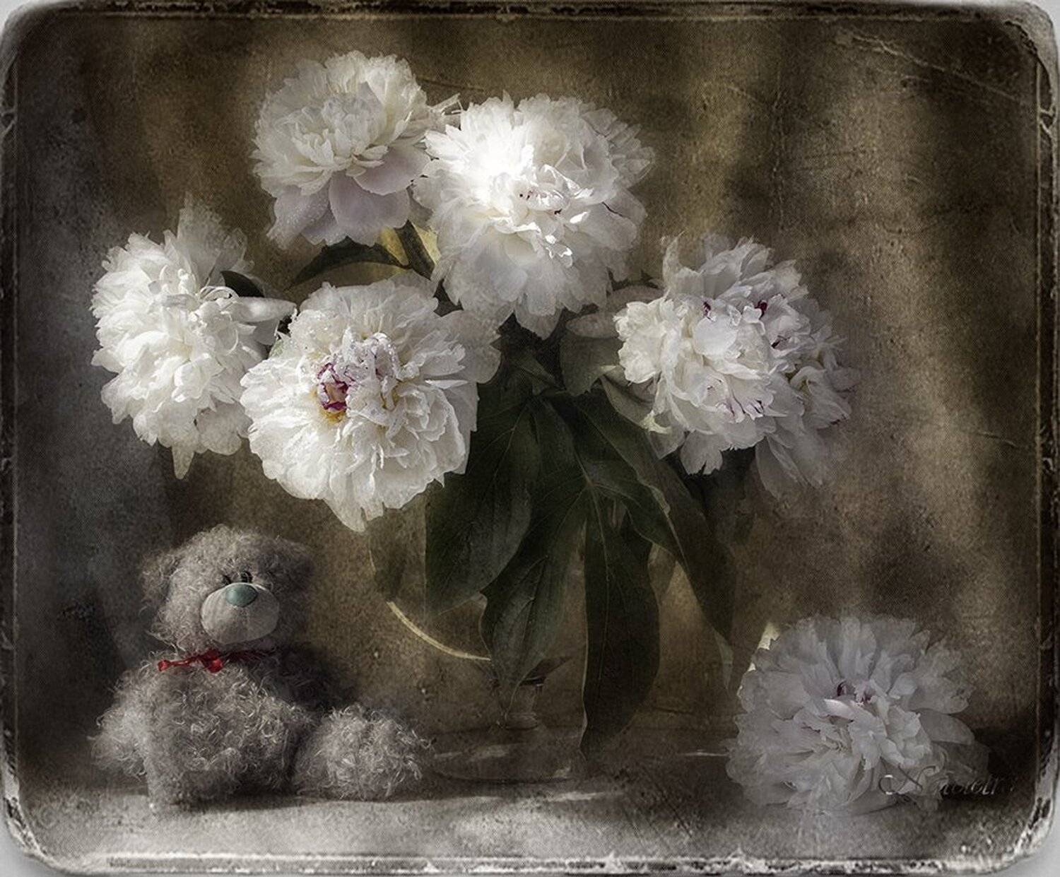 натюрморт, цветы, пионы, Наталья Кузнецова (Nateletro)