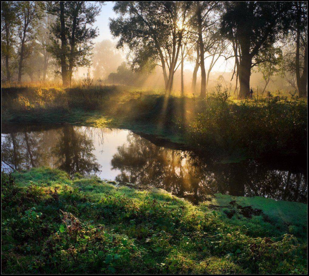 утро, река, репейник, роса, паутина, ляпота, одним, словом, Александр Киценко