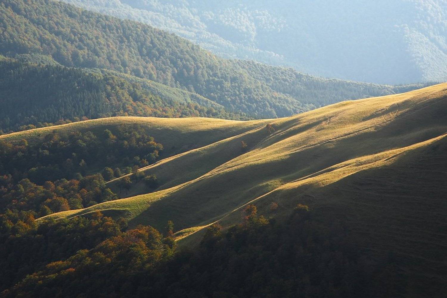 карпаты,, Тарас