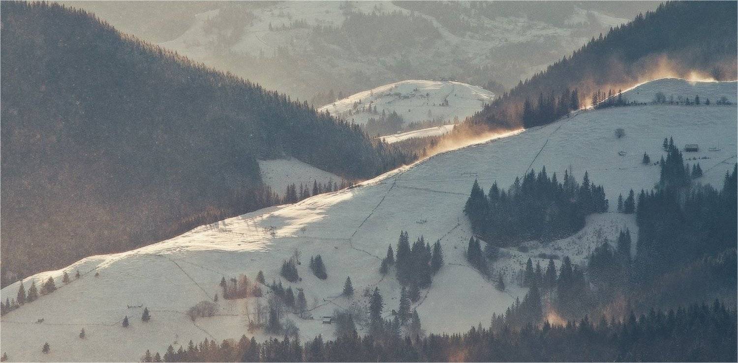 , Денис Кривой