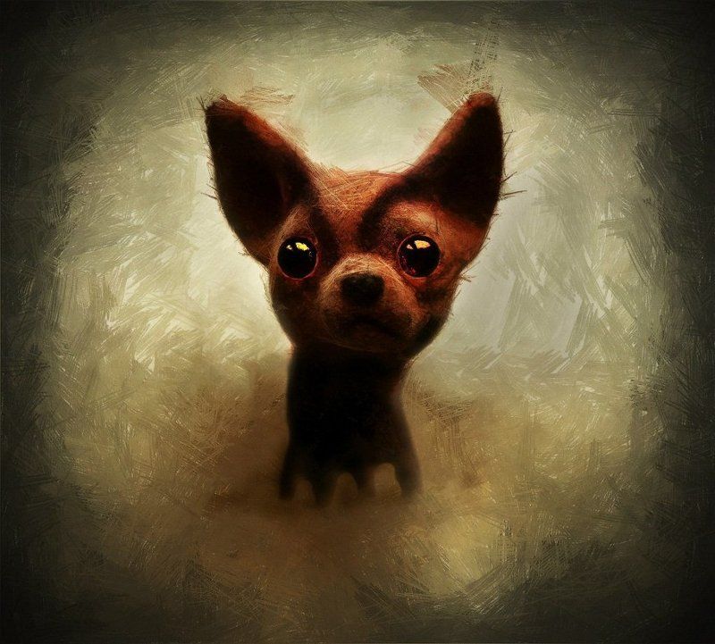 Собачка фото превью